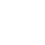 imgi_130_evolution-1024x1024-1.webp